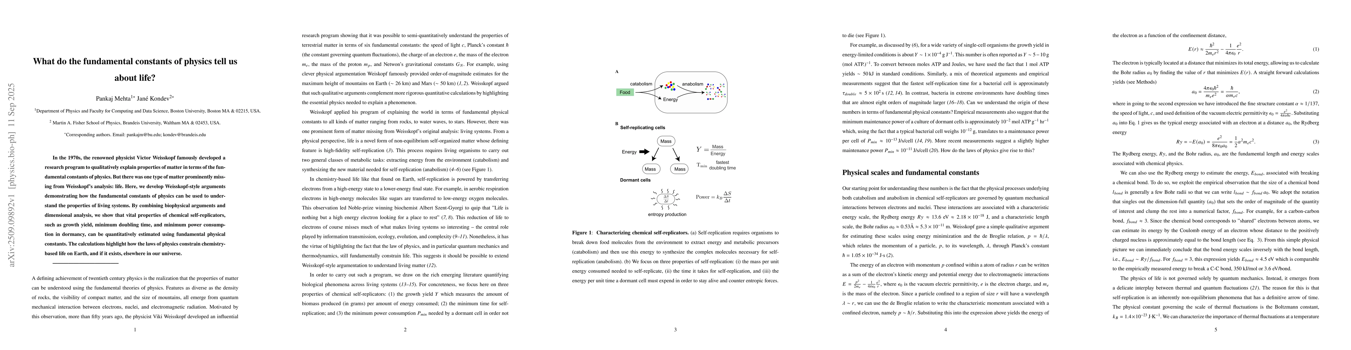 Thumbnail for What do the fundamental constants of physics tell us about life?