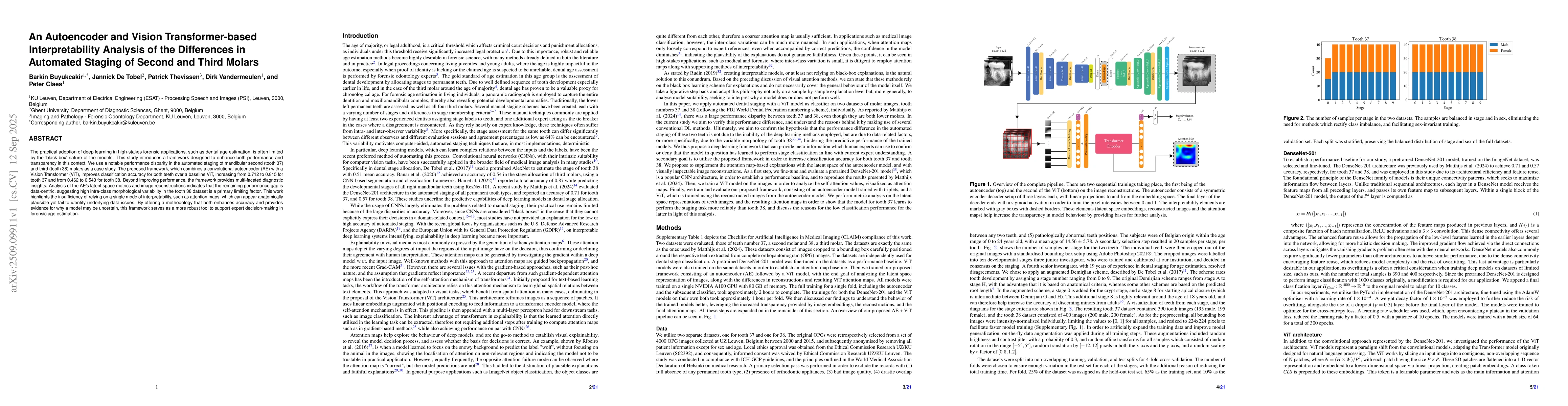 Thumbnail for An Autoencoder and Vision Transformer-based Interpretability Analysis of
  the Differences in Automated Staging of Second and Third Molars