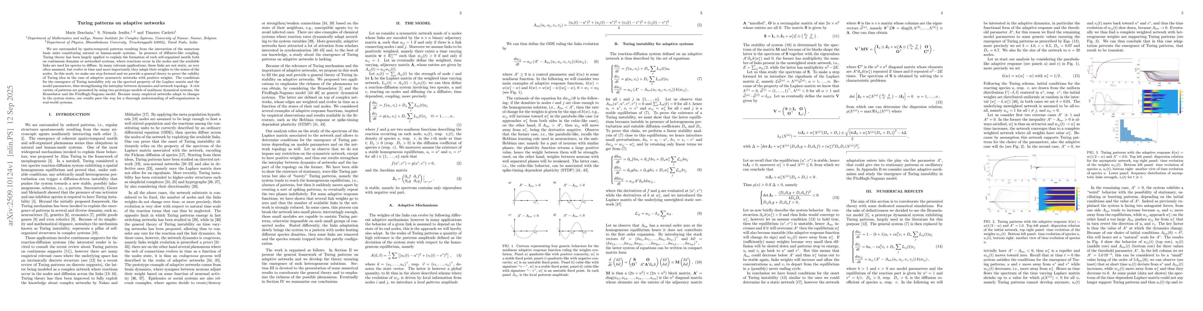 Thumbnail for Turing patterns on adaptive networks