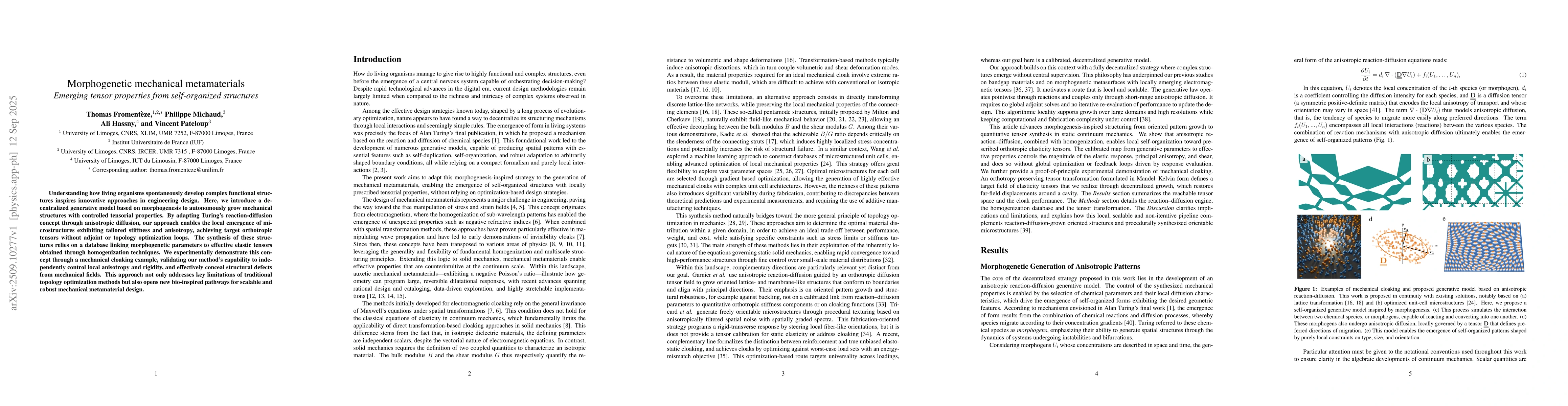 Thumbnail for Morphogenetic mechanical metamaterials: Emerging tensor properties from
  self-organized structures