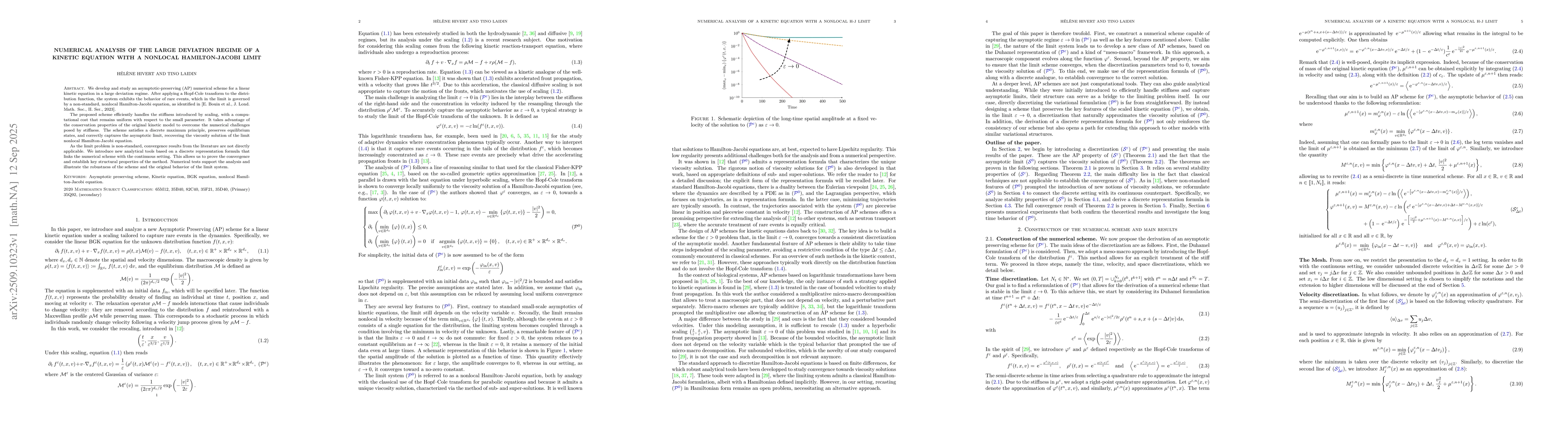 Thumbnail for Numerical analysis of the large deviation regime of a kinetic equation
  with a nonlocal Hamilton-Jacobi limit