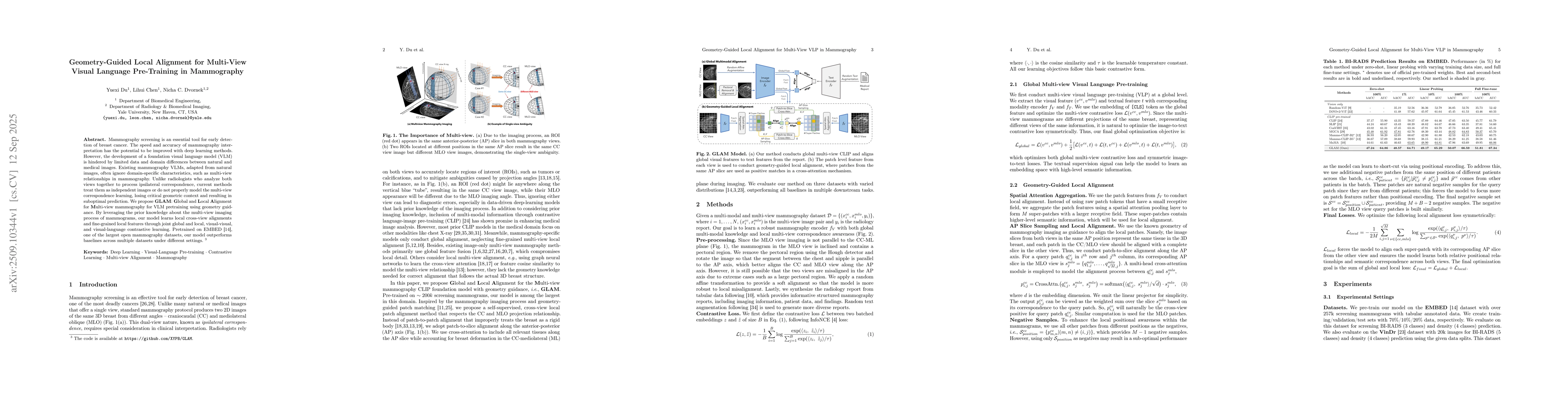 Thumbnail for GLAM: Geometry-Guided Local Alignment for Multi-View VLP in Mammography