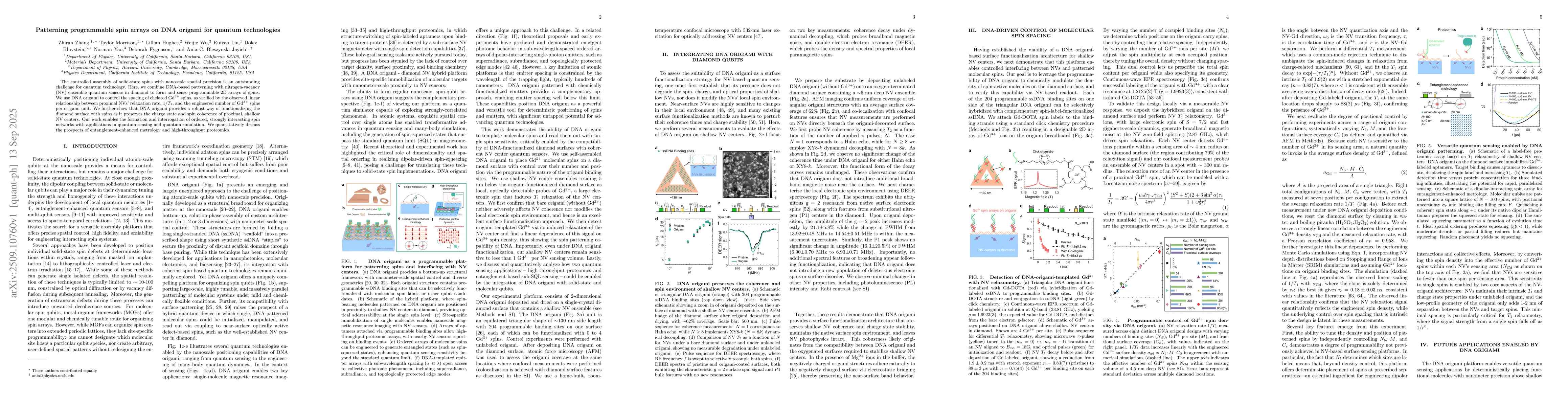 Thumbnail for Patterning programmable spin arrays on DNA origami for quantum
  technologies
