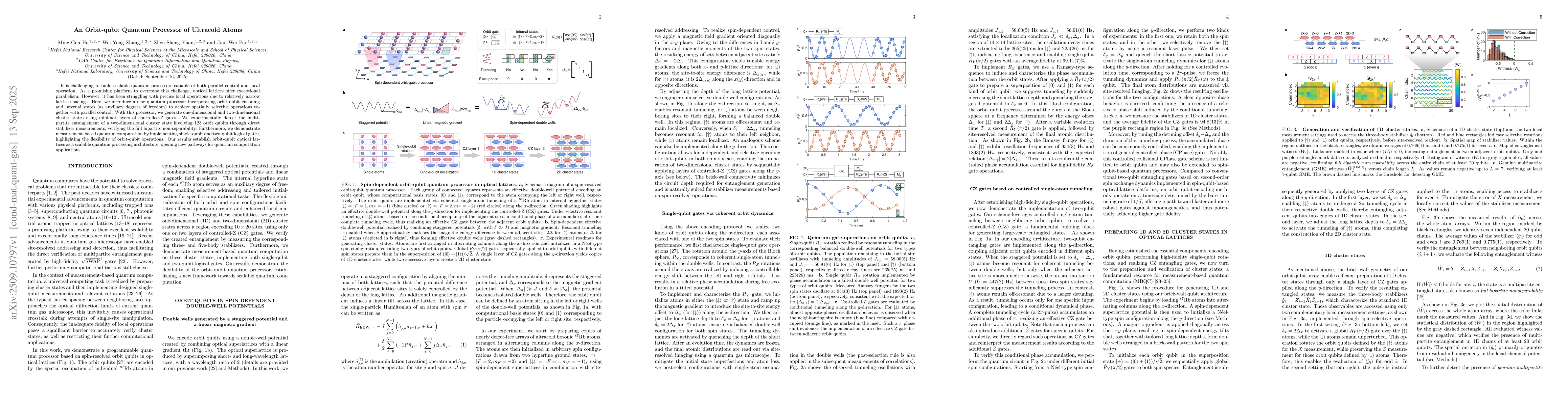 Thumbnail for An Orbit-qubit Quantum Processor of Ultracold Atoms