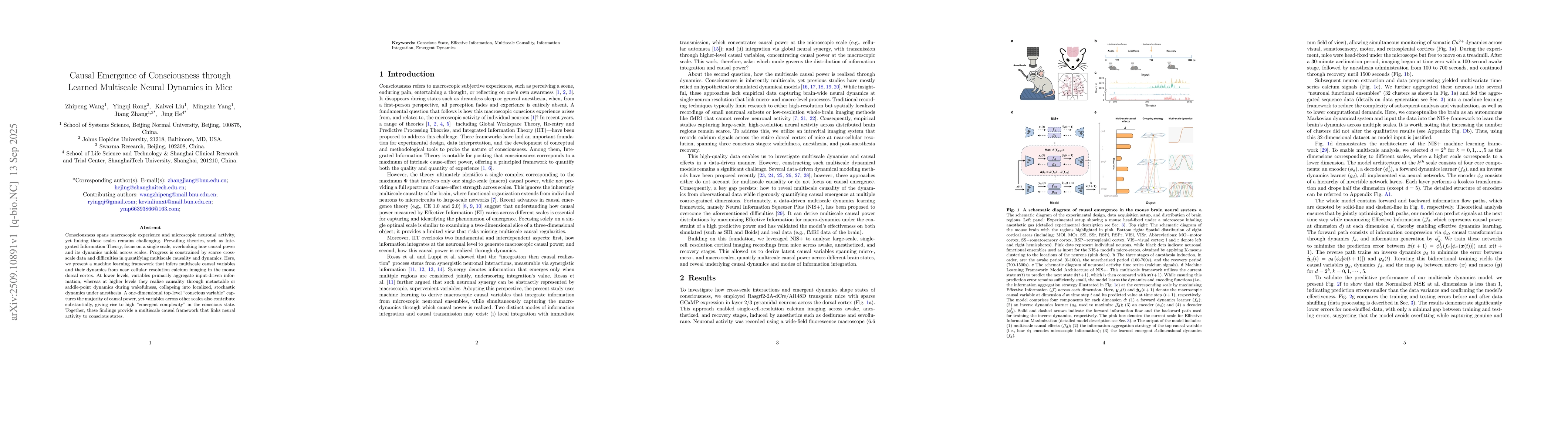 Thumbnail for Causal Emergence of Consciousness through Learned Multiscale Neural
  Dynamics in Mice