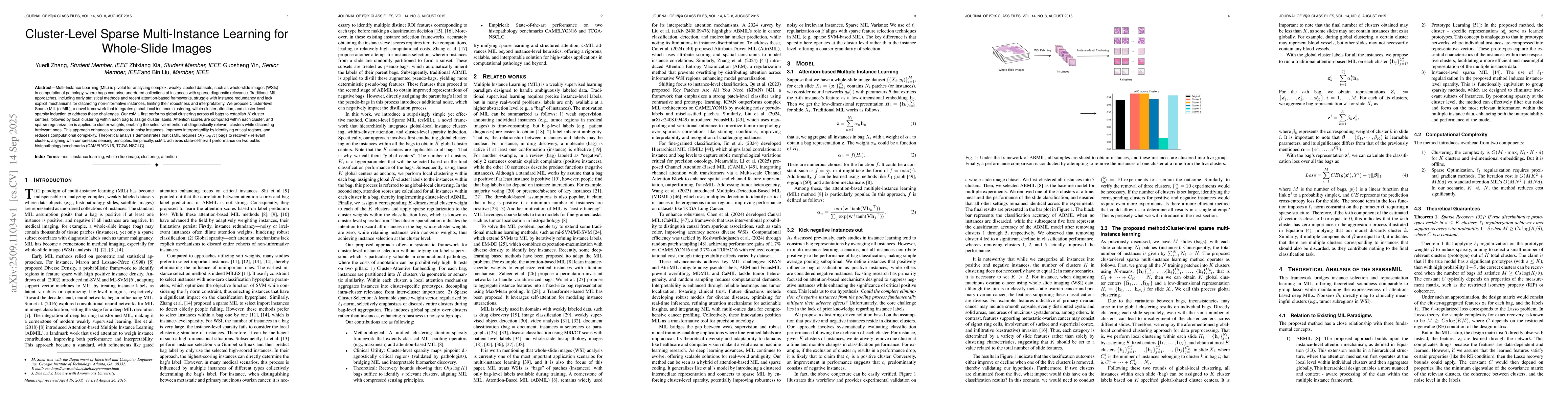 Thumbnail for Cluster-Level Sparse Multi-Instance Learning for Whole-Slide Images