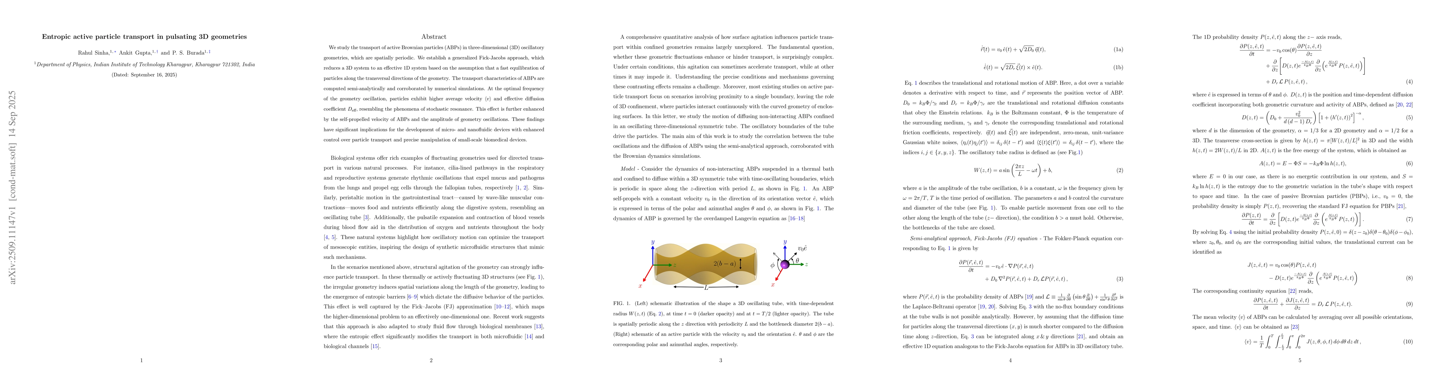 Thumbnail for Entropic active particle transport in pulsating 3D geometries