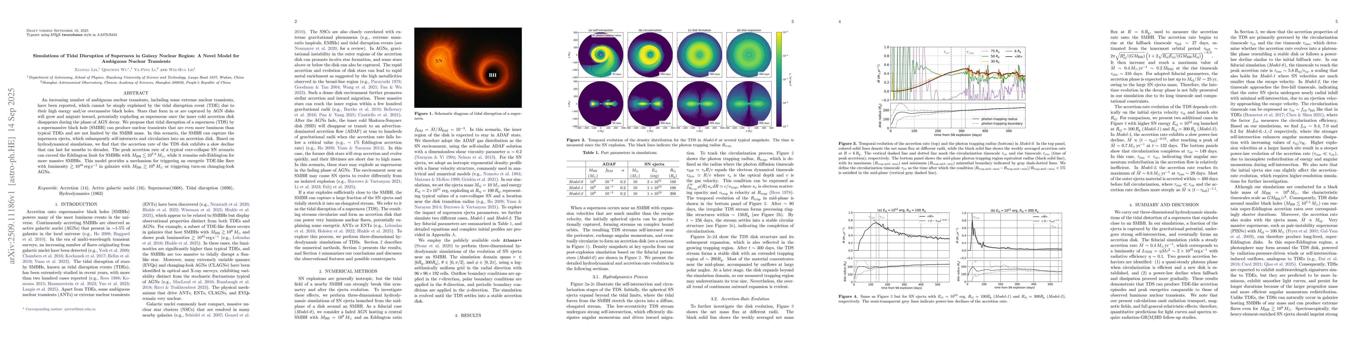 Thumbnail for Simulations of Tidal Disruption of Supernova in Galaxy Nuclear Region: A
  Novel Model for Ambiguous Nuclear Transients