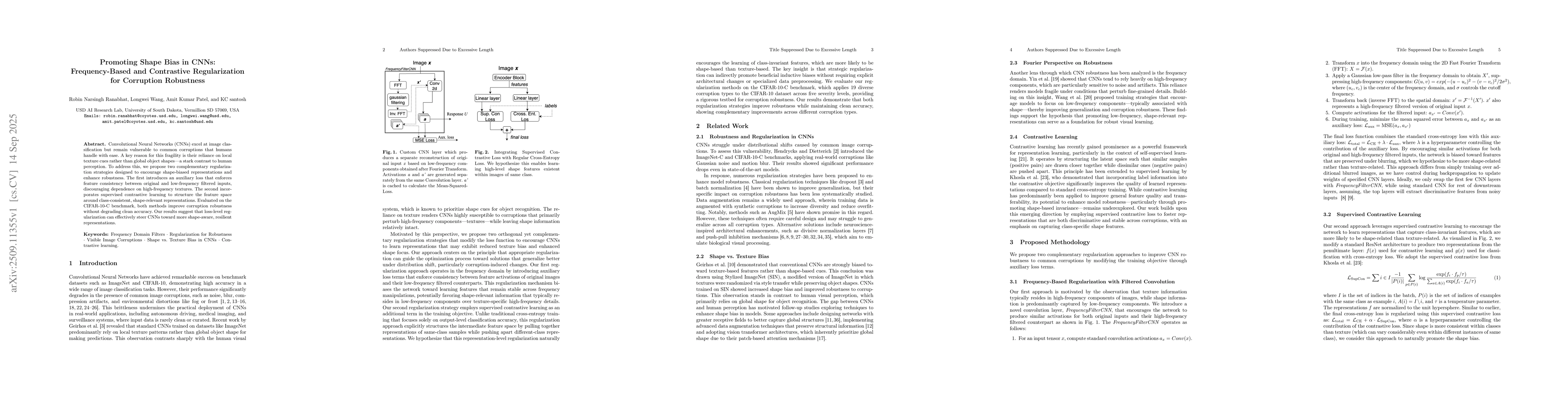 Thumbnail for Promoting Shape Bias in CNNs: Frequency-Based and Contrastive
  Regularization for Corruption Robustness