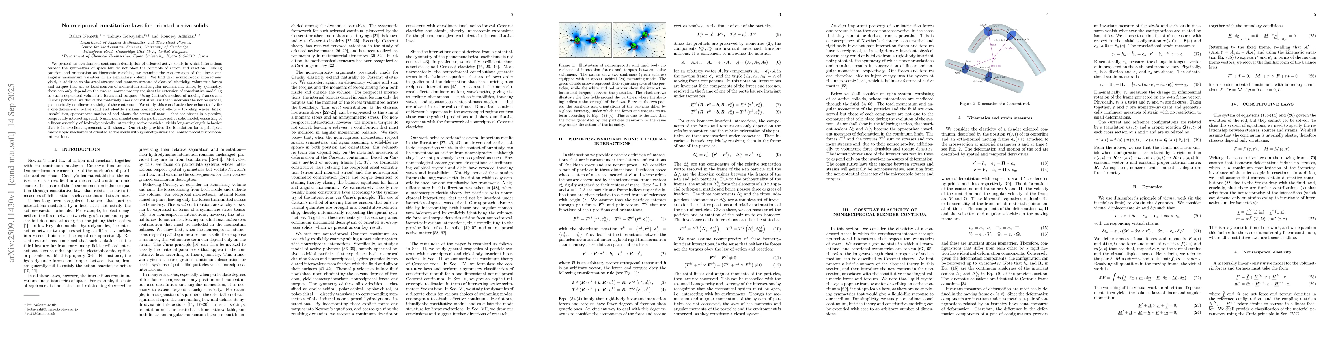 Thumbnail for Nonreciprocal constitutive laws for oriented active solids