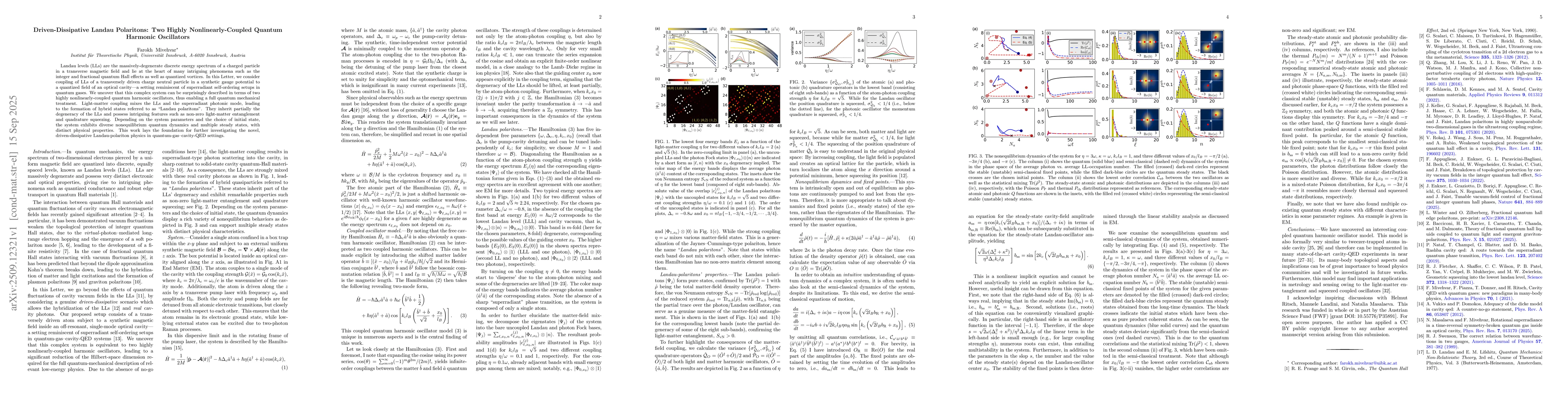 Thumbnail for Driven-Dissipative Landau Polaritons: Two Highly Nonlinearly-Coupled
  Quantum Harmonic Oscillators