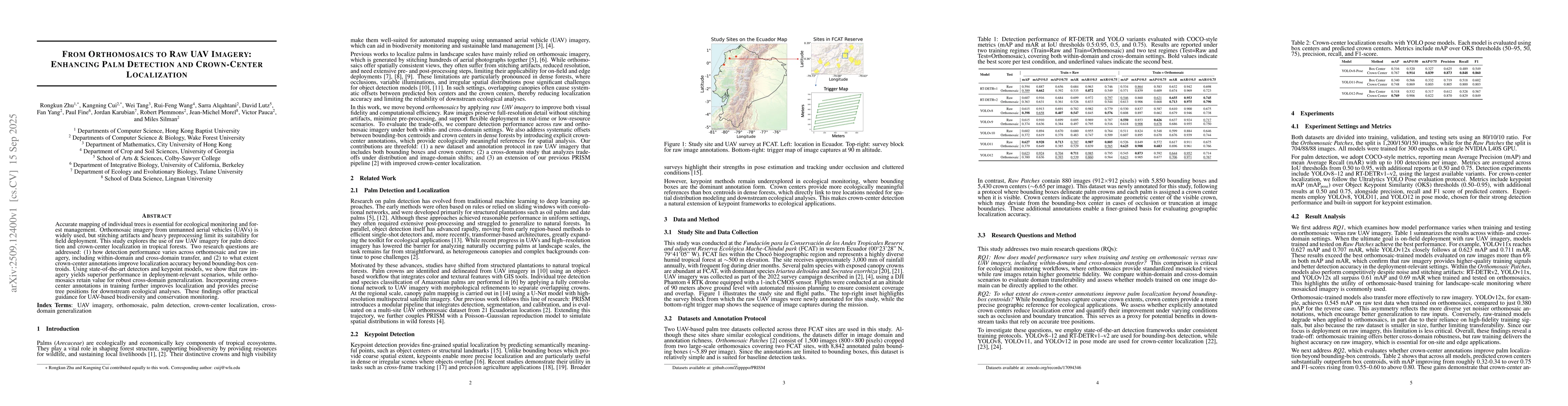 Thumbnail for From Orthomosaics to Raw UAV Imagery: Enhancing Palm Detection and
  Crown-Center Localization