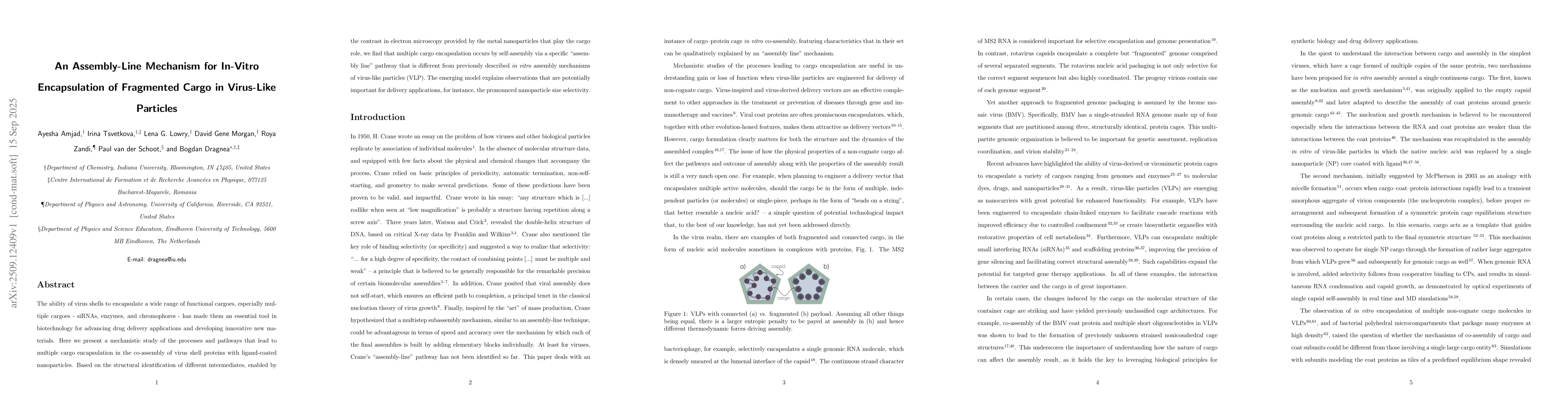 Thumbnail for An Assembly-Line Mechanism for In-Vitro Encapsulation of Fragmented
  Cargo in Virus-Like Particles