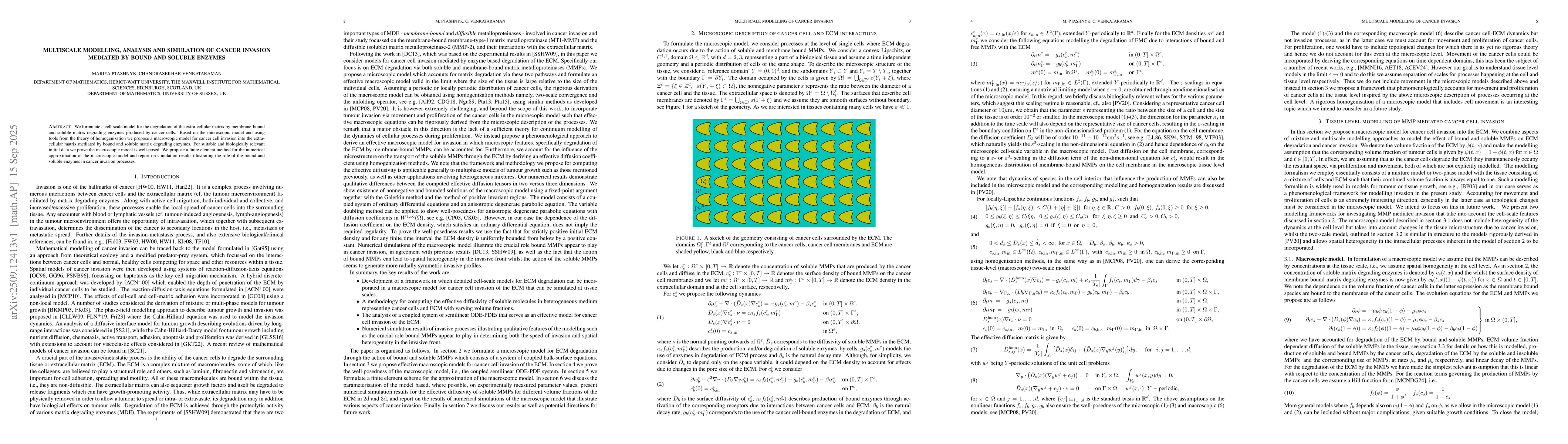 Thumbnail for Multiscale modelling, analysis and simulation of cancer invasion
  mediated by bound and soluble enzymes