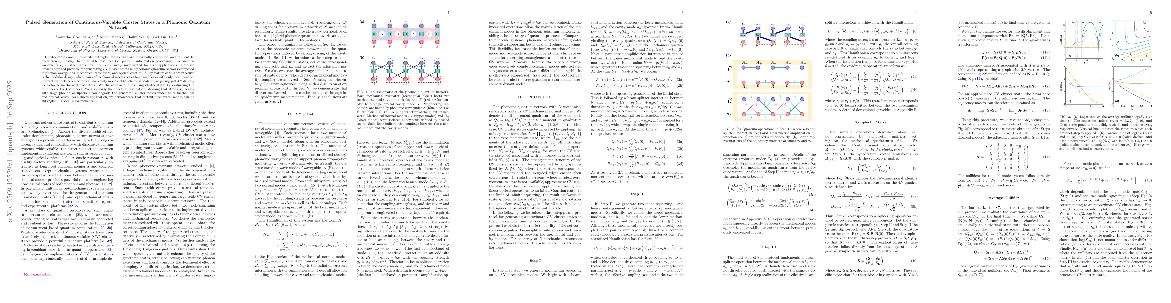 Thumbnail for Pulsed Generation of Continuous-Variable Cluster States in a Phononic
  Quantum Network