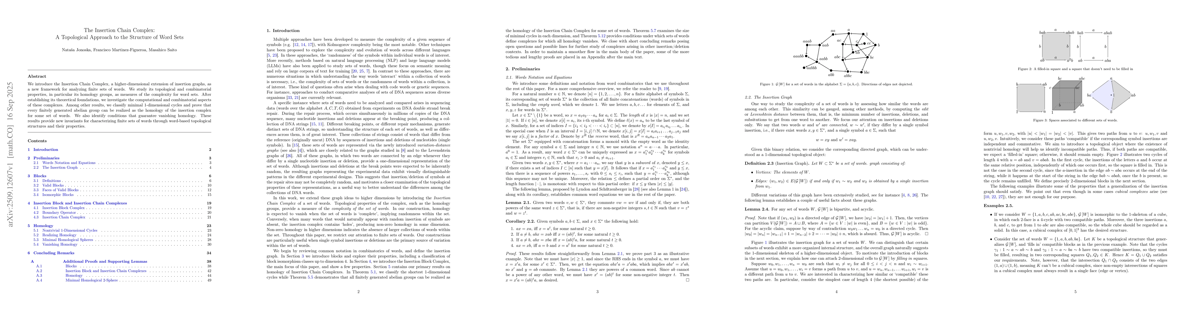 Thumbnail for The Insertion Chain Complex: A Topological Approach to the Structure of
  Word Sets