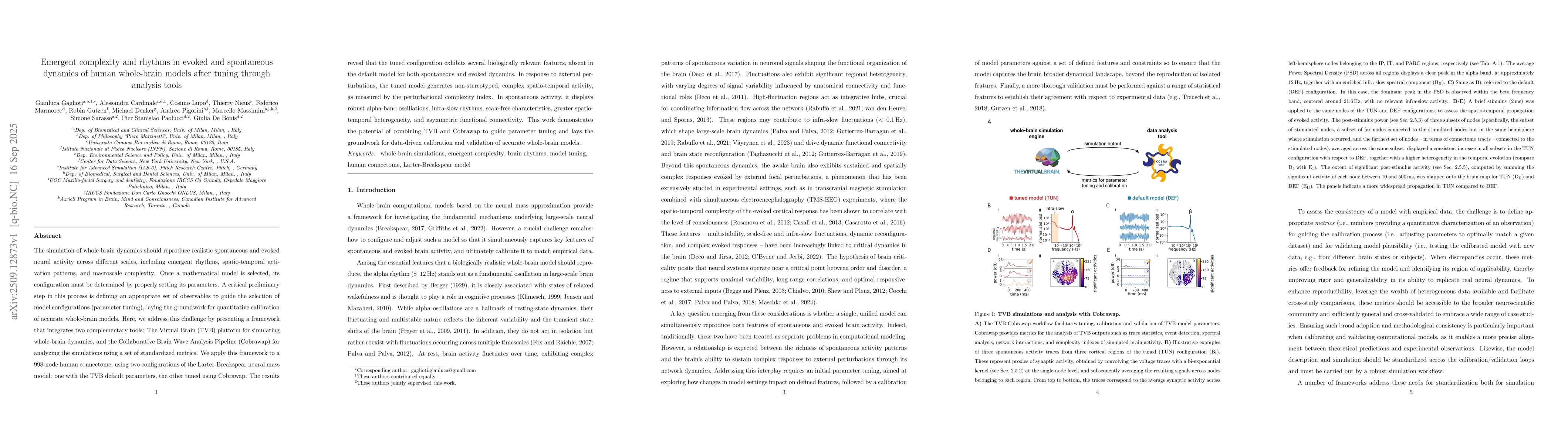 Thumbnail for Emergent complexity and rhythms in evoked and spontaneous dynamics of
  human whole-brain models after tuning through analysis tools