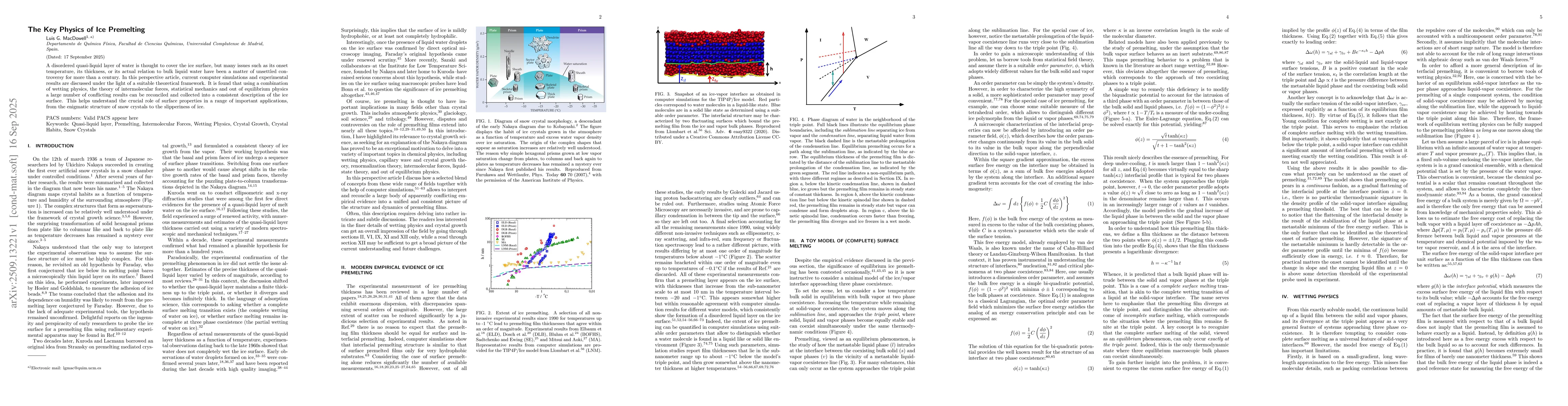 Thumbnail for The Key Physics of Ice Premelting