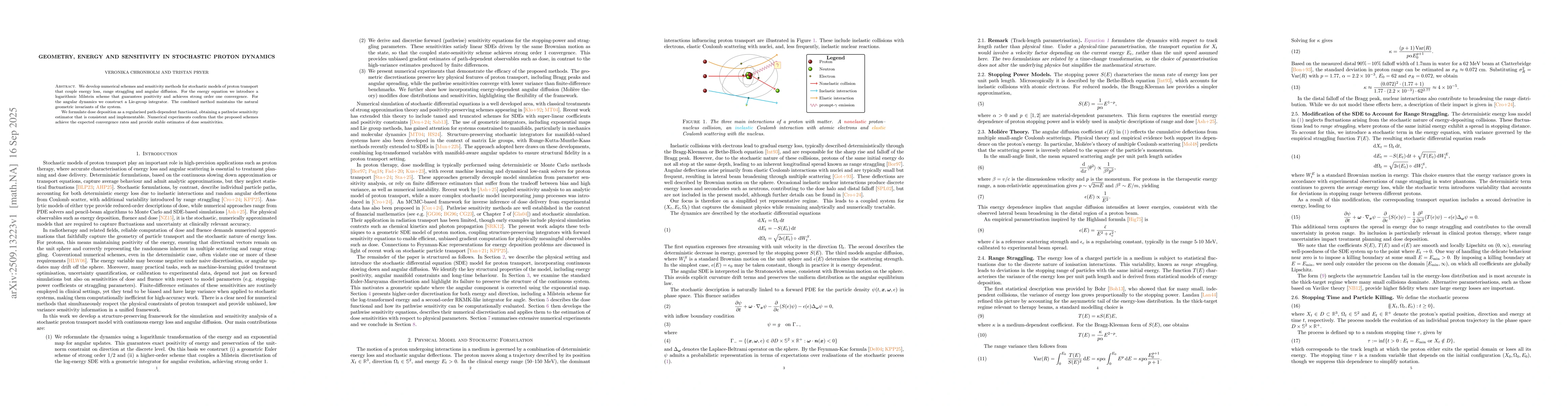 Thumbnail for Geometry, Energy and Sensitivity in Stochastic Proton Dynamics