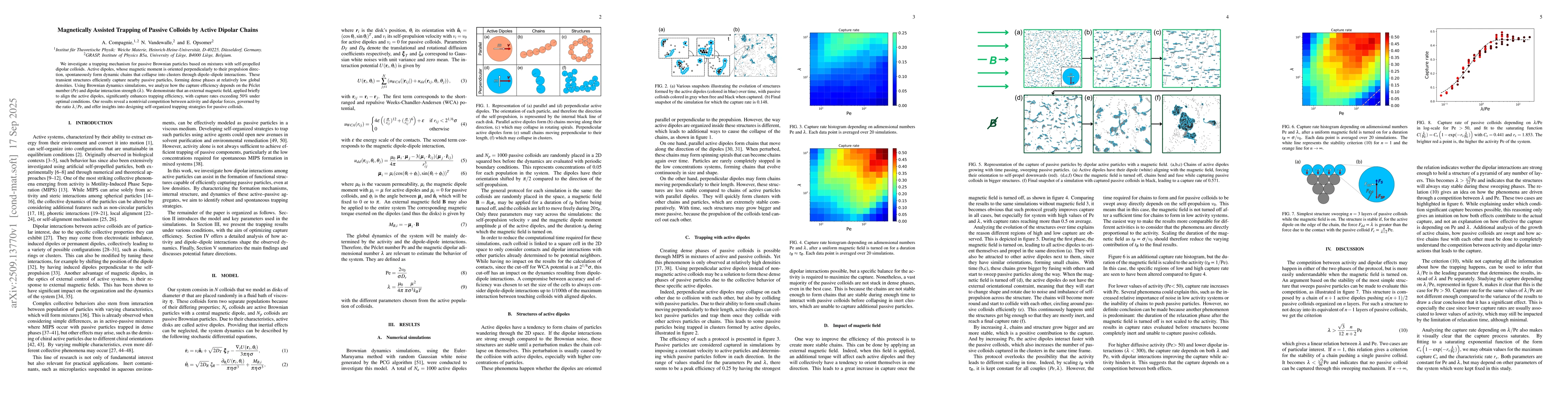 Thumbnail for Magnetically Assisted Trapping of Passive Colloids by Active Dipolar
  Chains