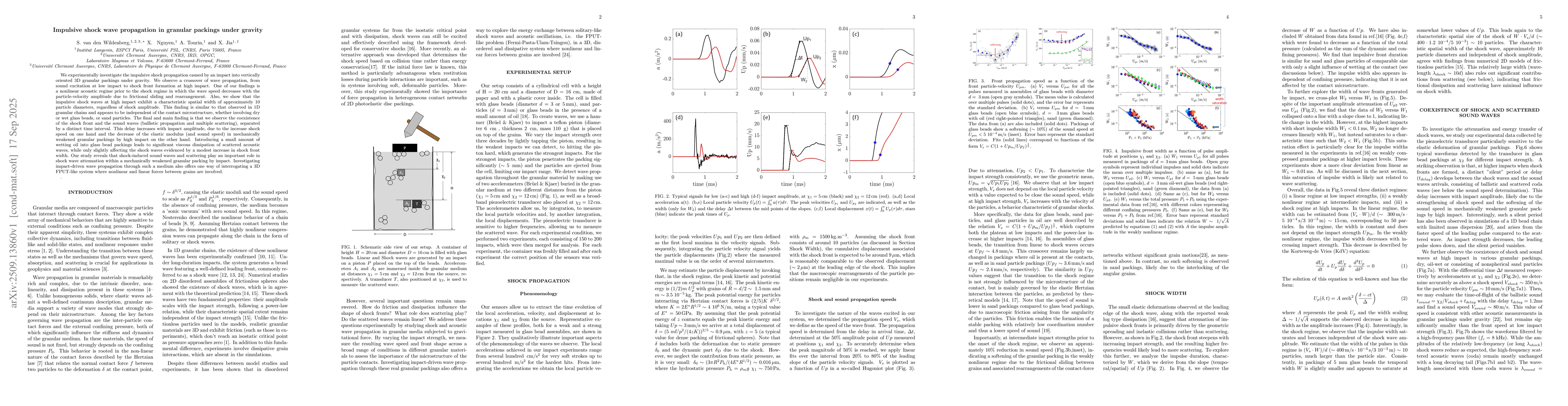 Thumbnail for Impulsive shock wave propagation in granular packings under gravity