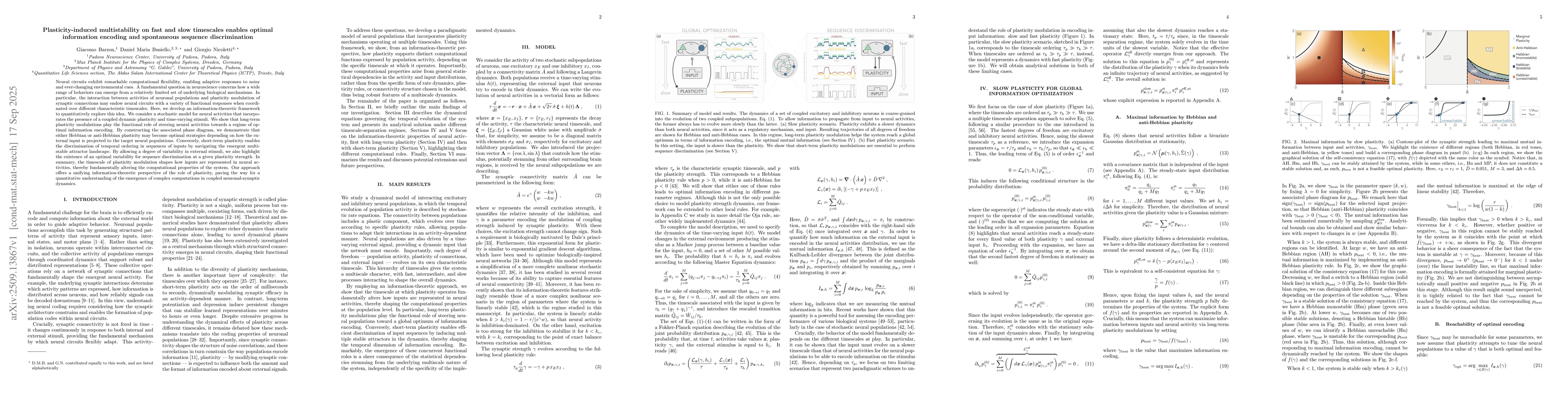 Thumbnail for Plasticity-induced multistability on fast and slow timescales enables
  optimal information encoding and spontaneous sequence discrimination