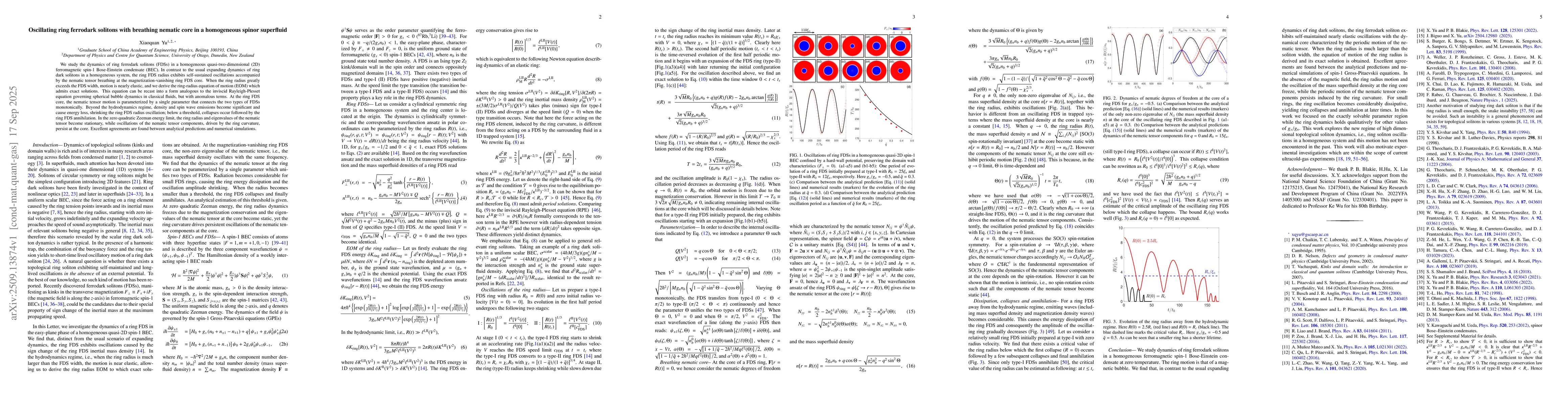 Thumbnail for Oscillating ring ferrodark solitons with breathing nematic core in a
  homogeneous spinor superfluid