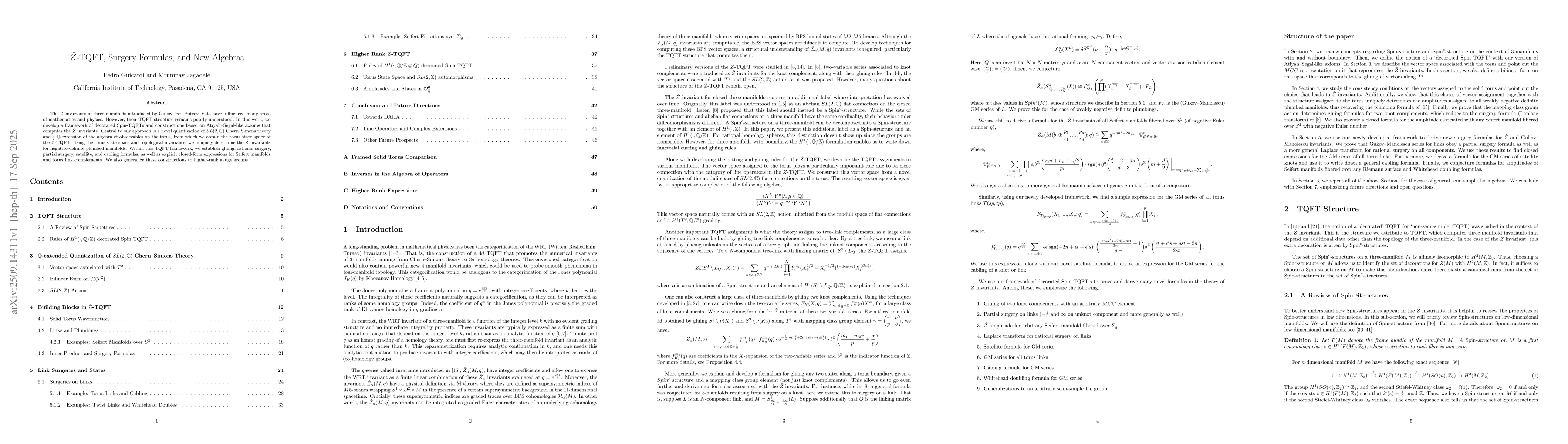 Thumbnail for $\hat{Z}$-TQFT, Surgery Formulas, and New Algebras