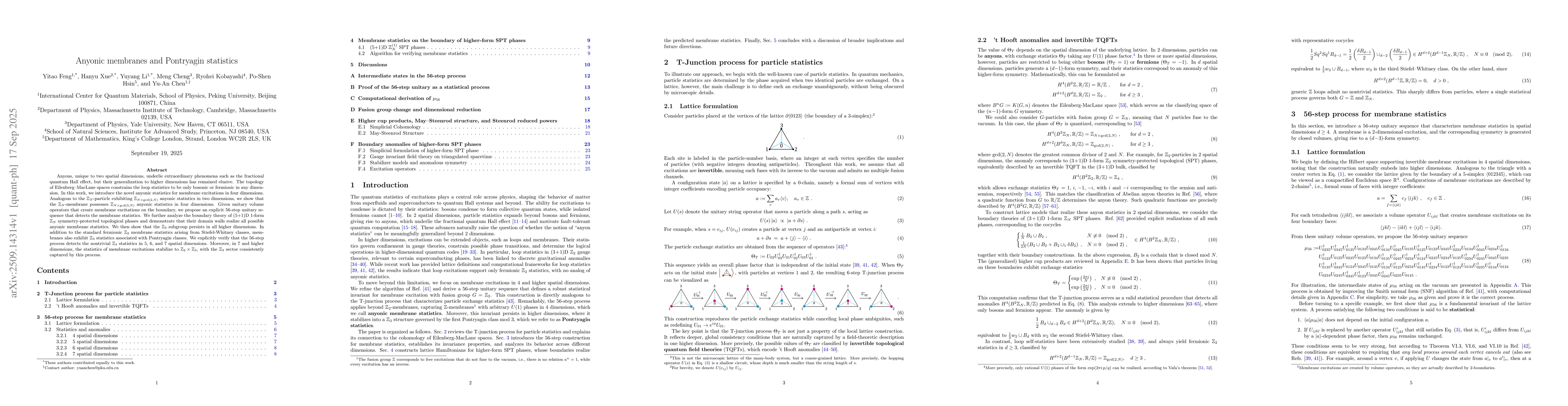 Thumbnail for Anyonic membranes and Pontryagin statistics