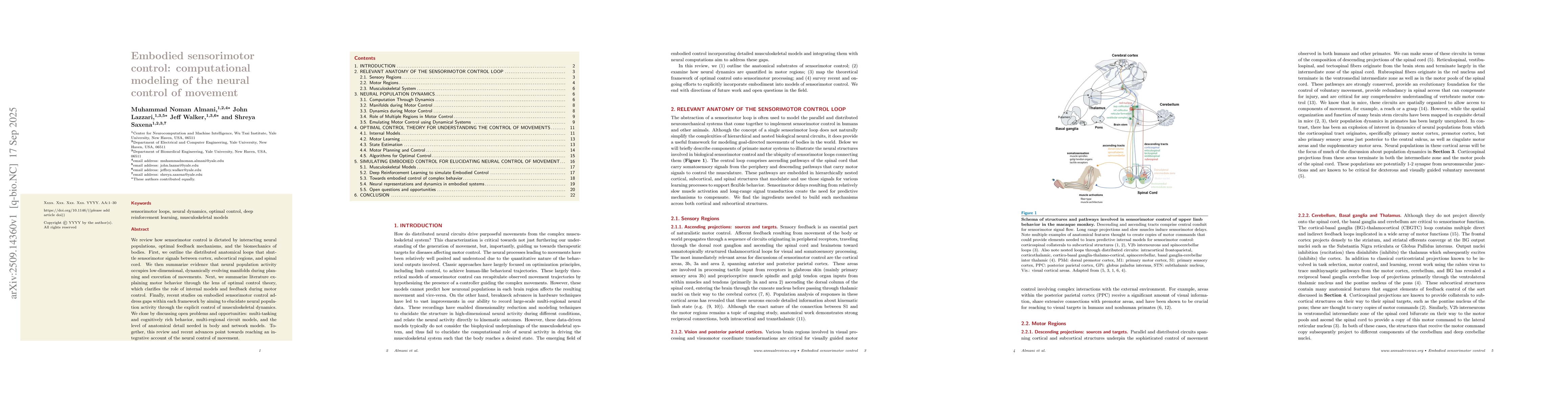 Thumbnail for Embodied sensorimotor control: computational modeling of the neural
  control of movement