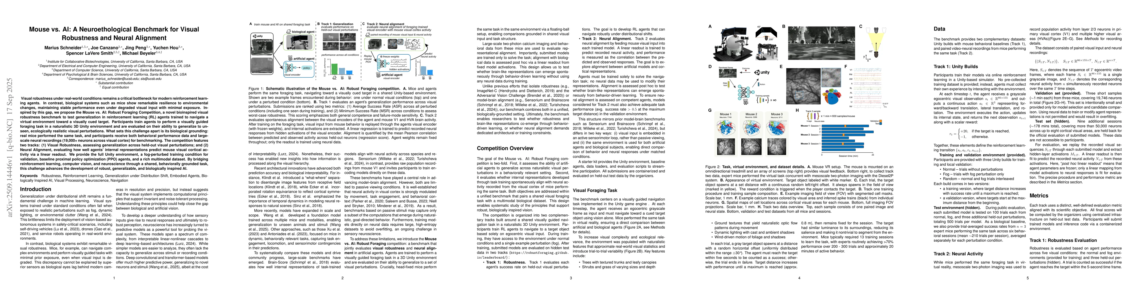 Thumbnail for Mouse vs. AI: A Neuroethological Benchmark for Visual Robustness and
  Neural Alignment