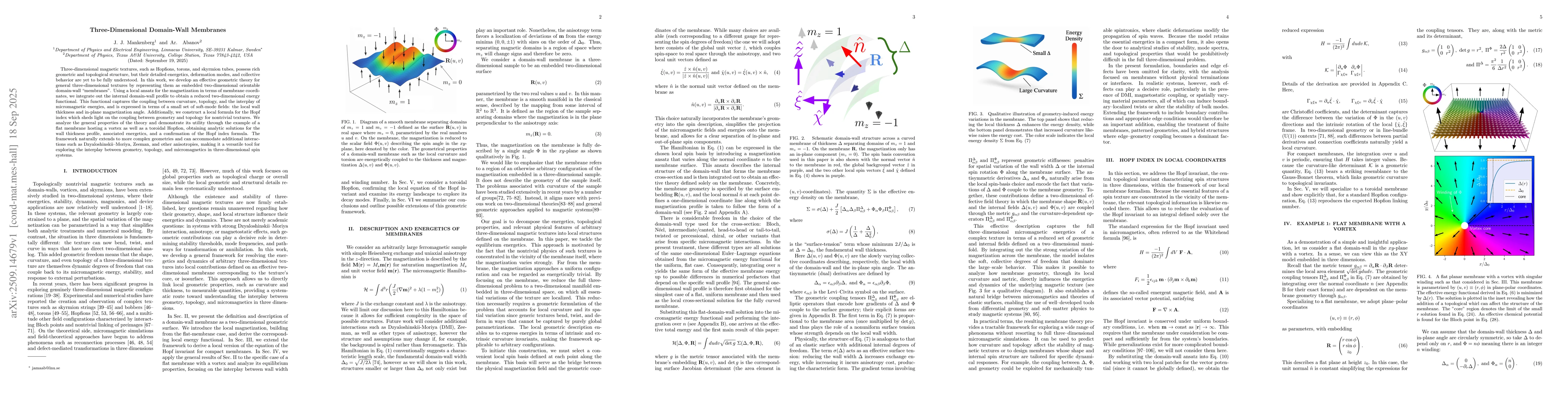 Thumbnail for Three-Dimensional Domain-Wall Membranes