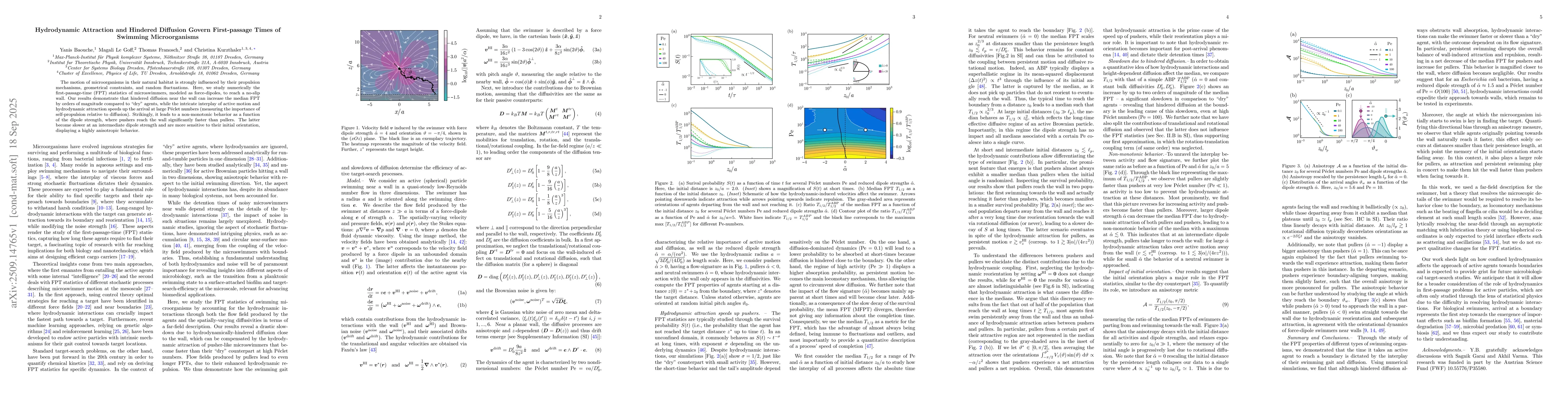 Thumbnail for Hydrodynamic Attraction and Hindered Diffusion Govern First-passage
  Times of Swimming Microorganisms