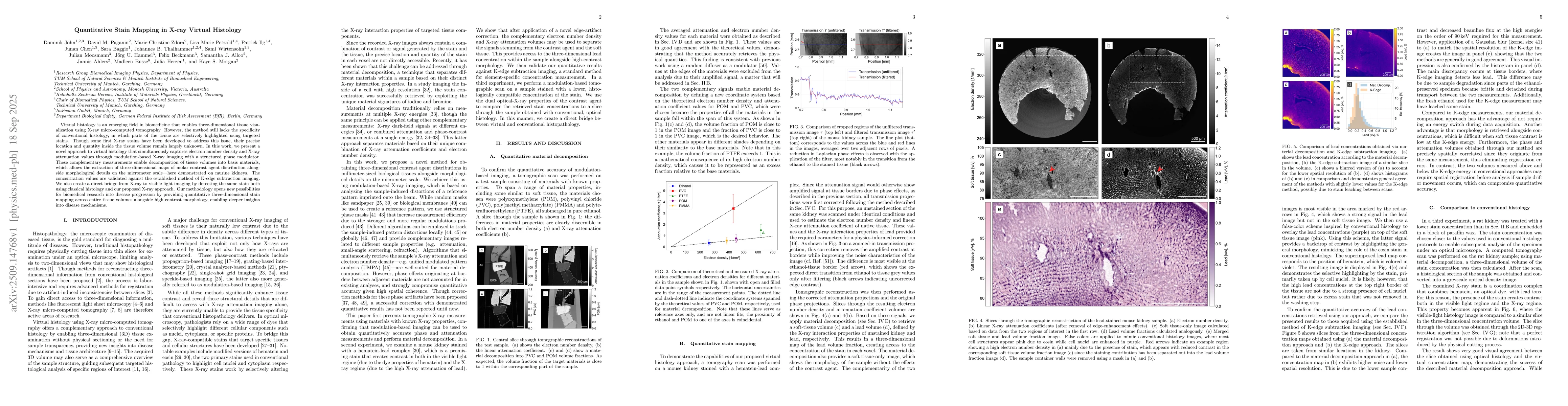 Thumbnail for Quantitative Stain Mapping in X-ray Virtual Histology