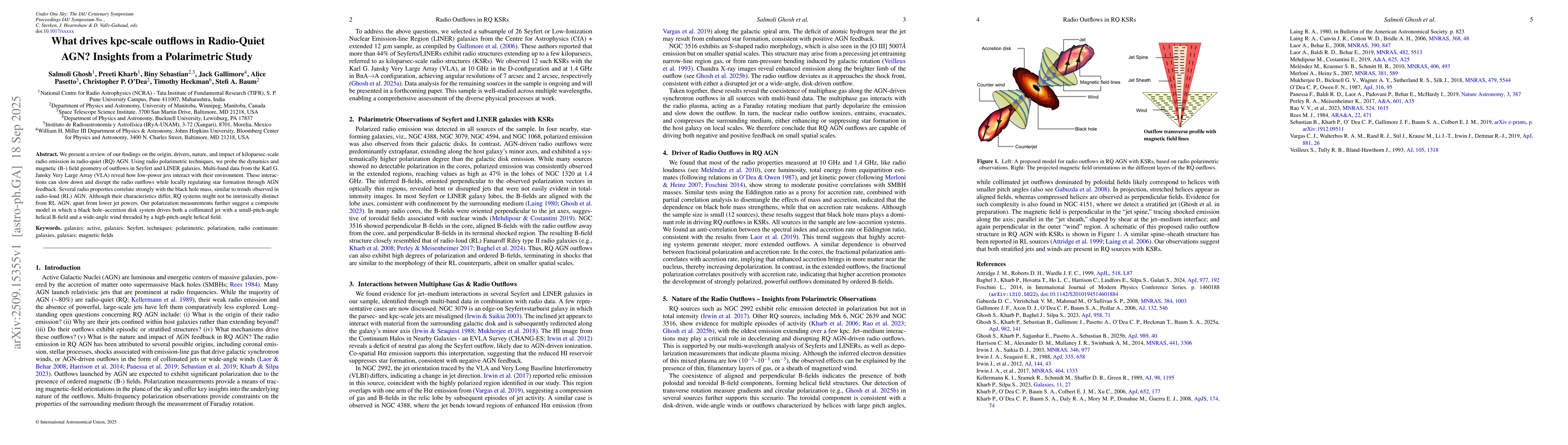 Thumbnail for What drives kpc-scale outflows in Radio-Quiet AGN? Insights from a
  Polarimetric Study