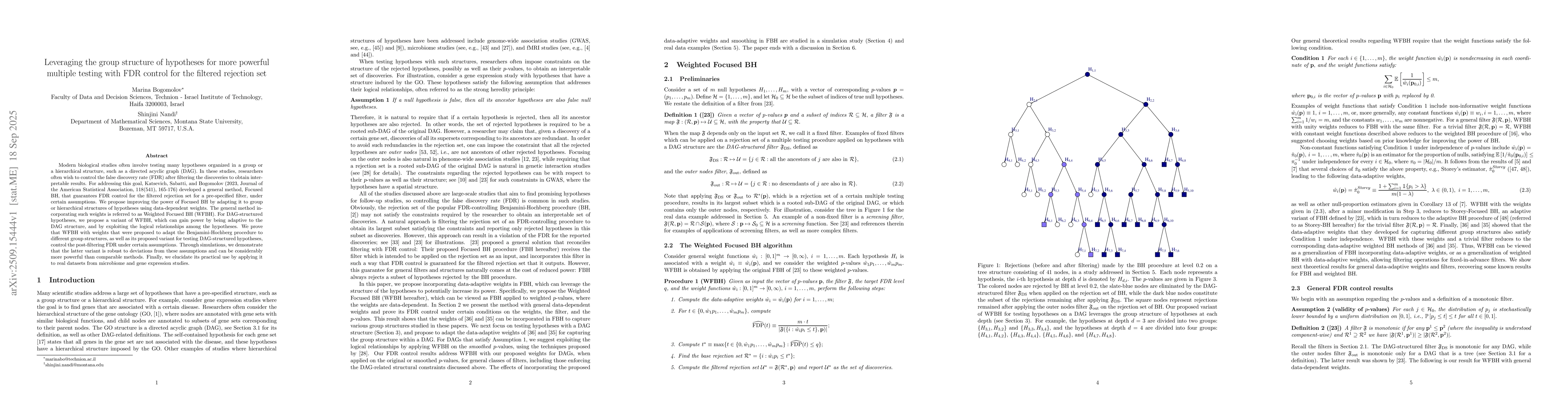 Thumbnail for Leveraging the group structure of hypotheses for more powerful multiple
  testing with FDR control for the filtered rejection set
