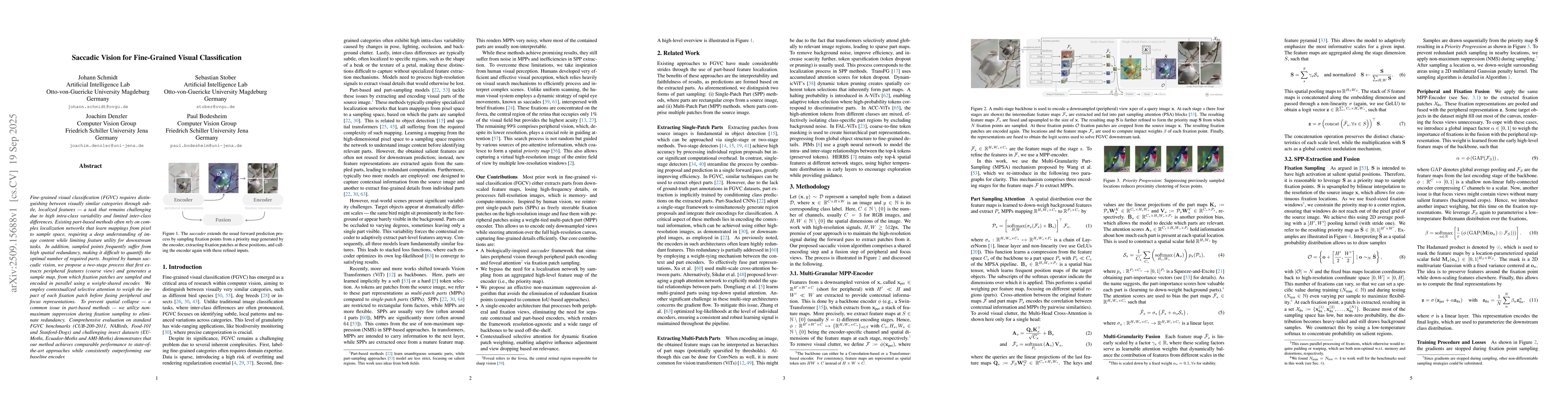 Thumbnail for Saccadic Vision for Fine-Grained Visual Classification