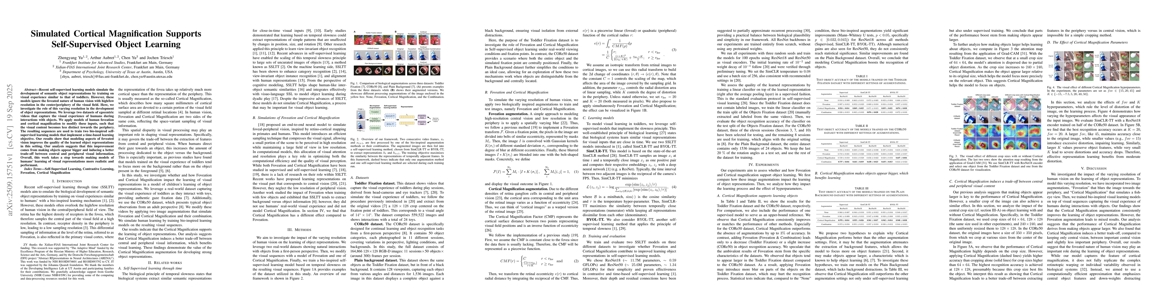 Thumbnail for Simulated Cortical Magnification Supports Self-Supervised Object
  Learning