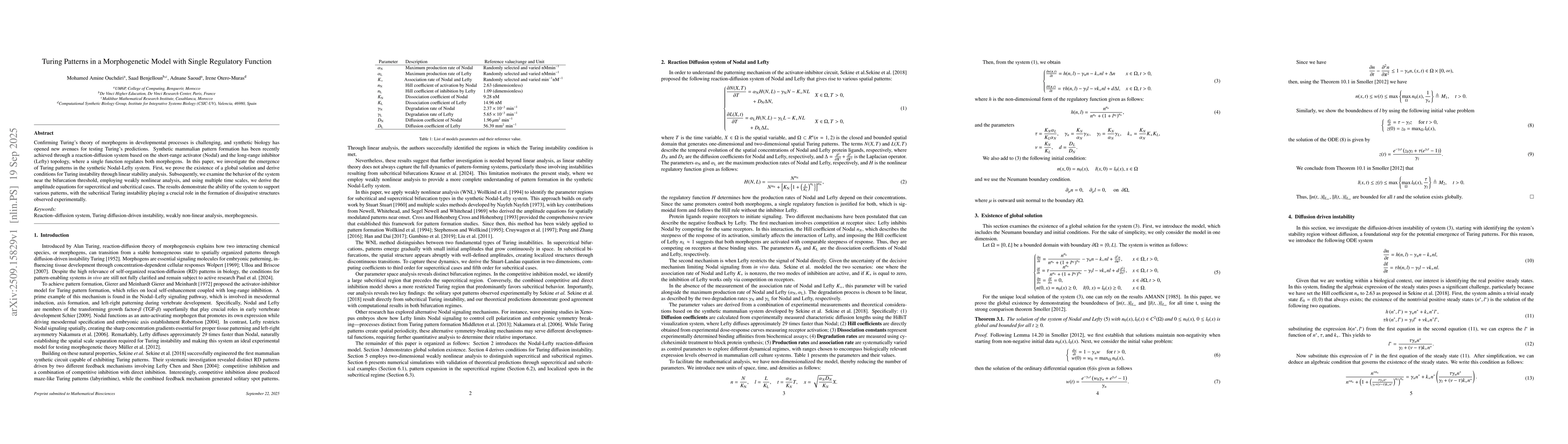 Thumbnail for Turing Patterns in a Morphogenetic Model with Single Regulatory Function