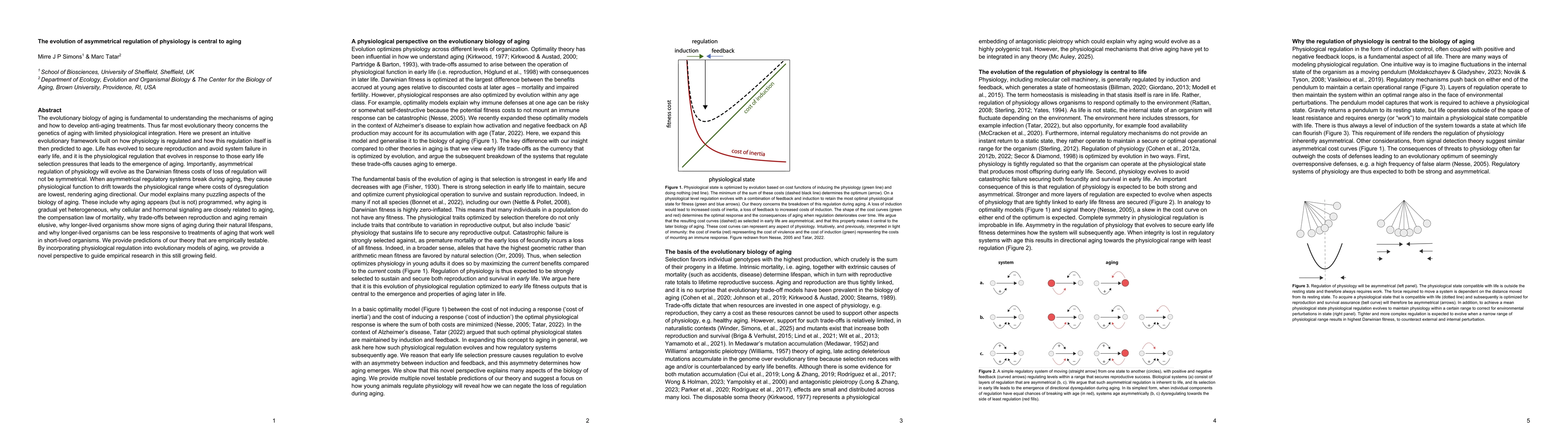Thumbnail for The evolution of asymmetrical regulation of physiology is central to
  aging