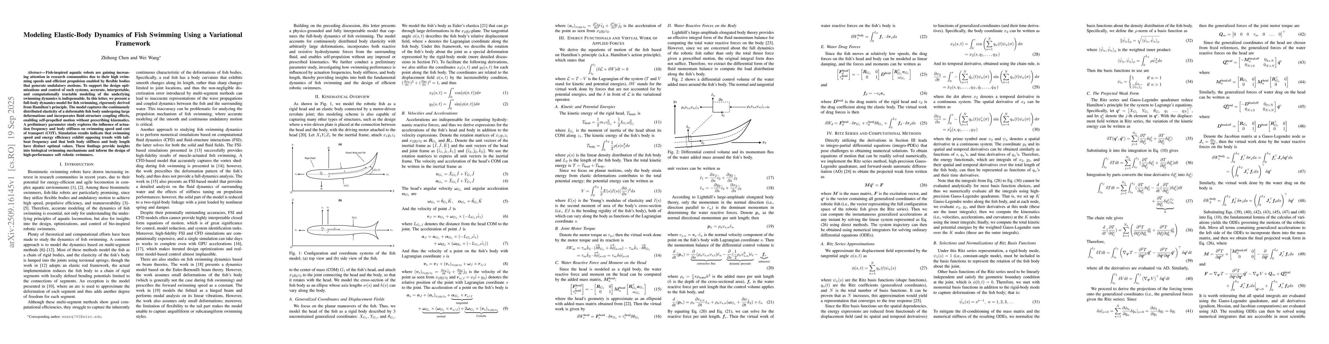 Thumbnail for Modeling Elastic-Body Dynamics of Fish Swimming Using a Variational
  Framework