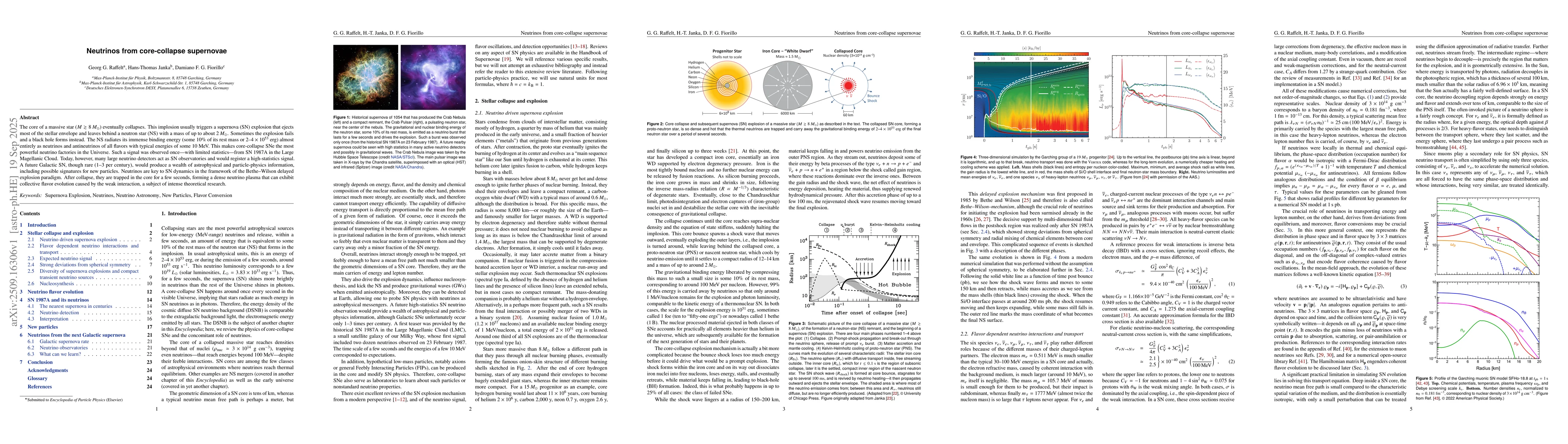 Thumbnail for Neutrinos from core-collapse supernovae