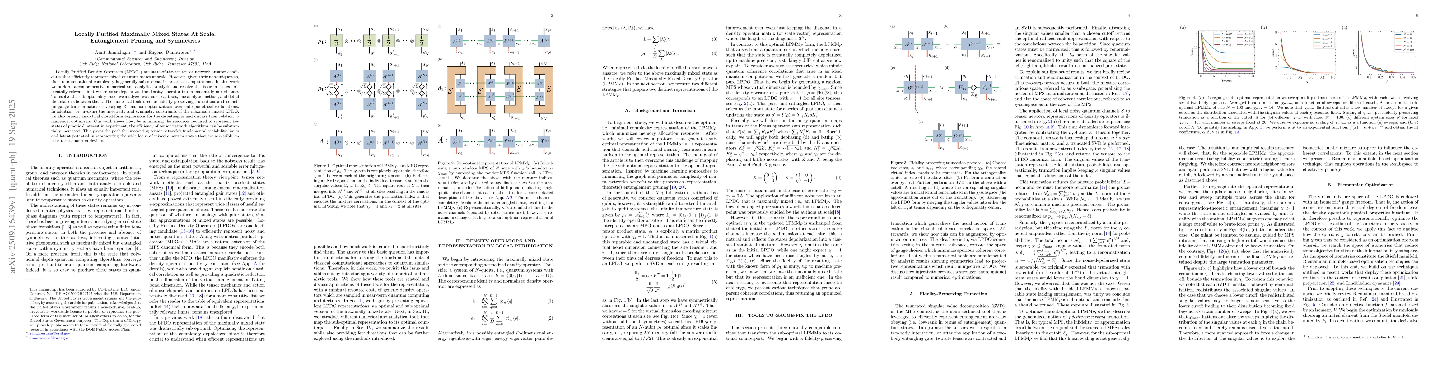 Thumbnail for Locally Purified Maximally Mixed States At Scale: Entanglement Pruning
  and Symmetries