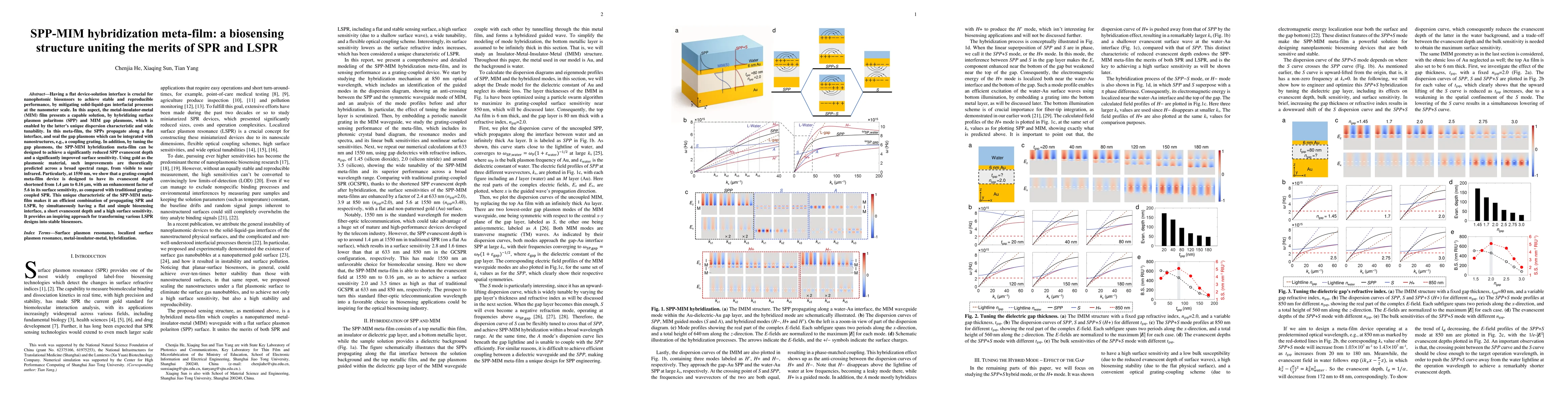 Thumbnail for SPP-MIM hybridization meta-film: a biosensing structure uniting the
  merits of SPR and LSPR