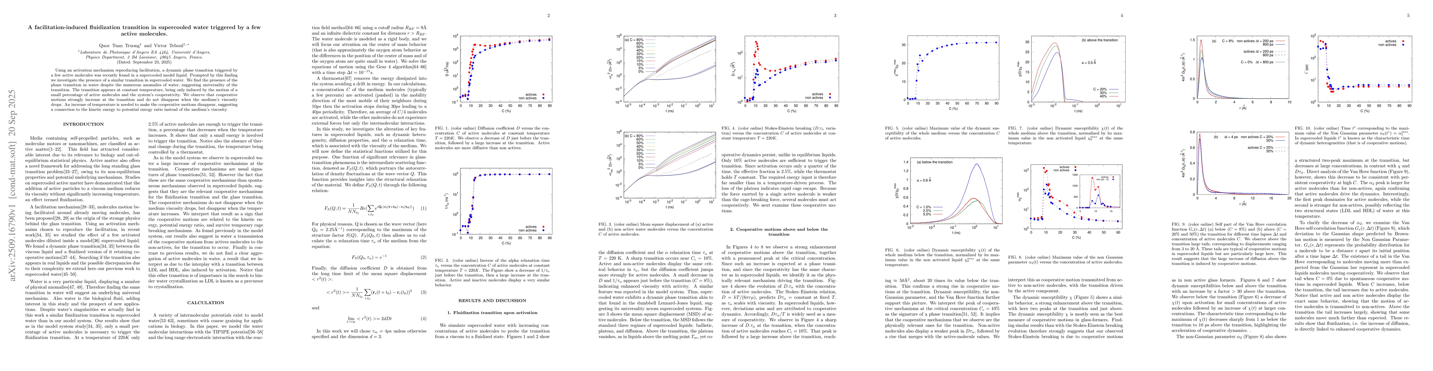 Thumbnail for A facilitation-induced fluidization transition in supercooled water
  triggered by a few active molecules