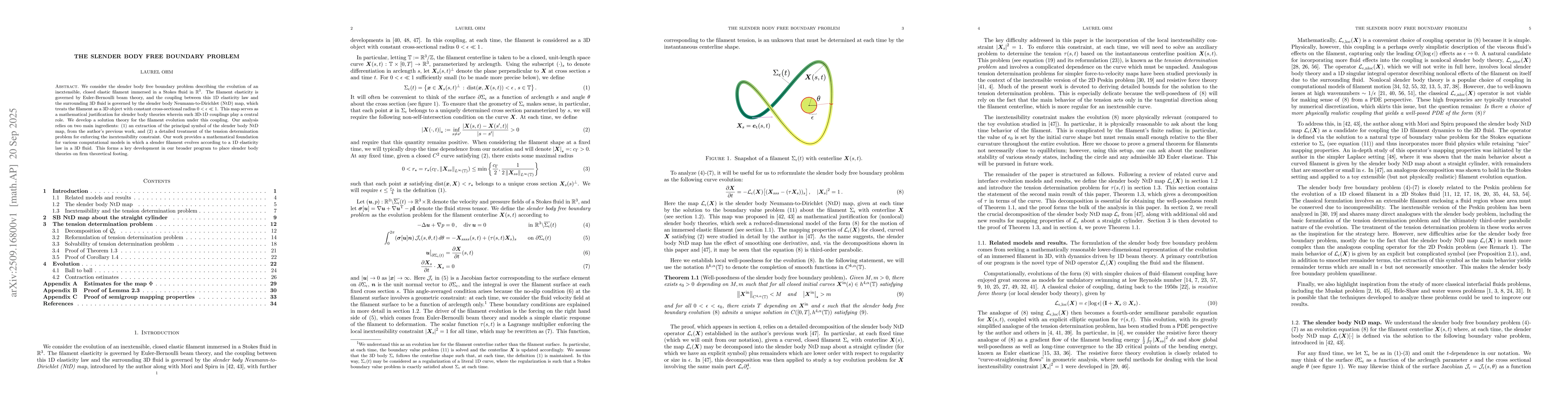 Thumbnail for The slender body free boundary problem