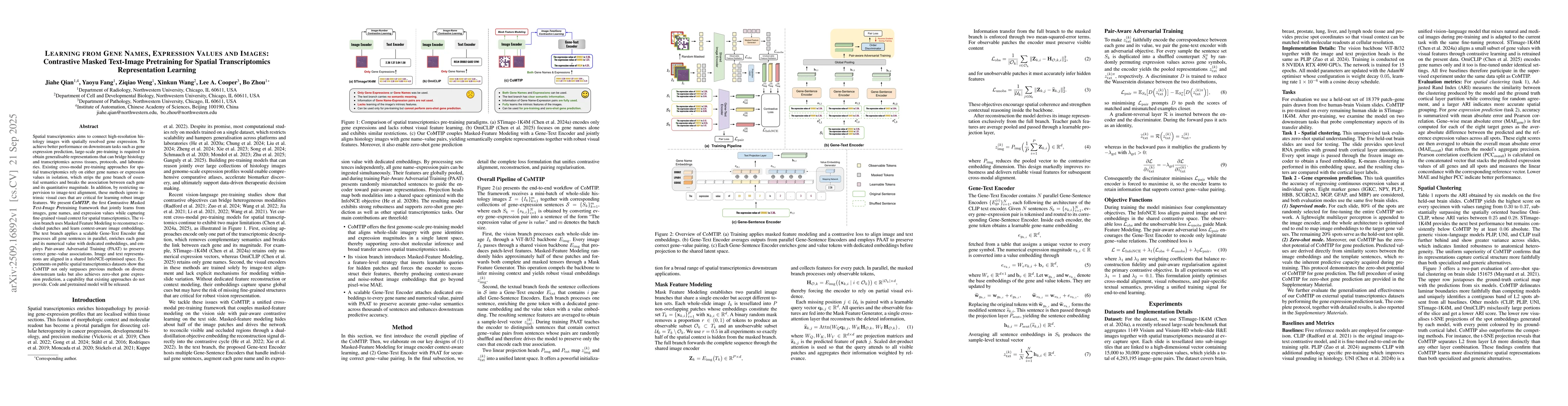 Thumbnail for Learning from Gene Names, Expression Values and Images: Contrastive
  Masked Text-Image Pretraining for Spatial Transcriptomics Representation
  Learning