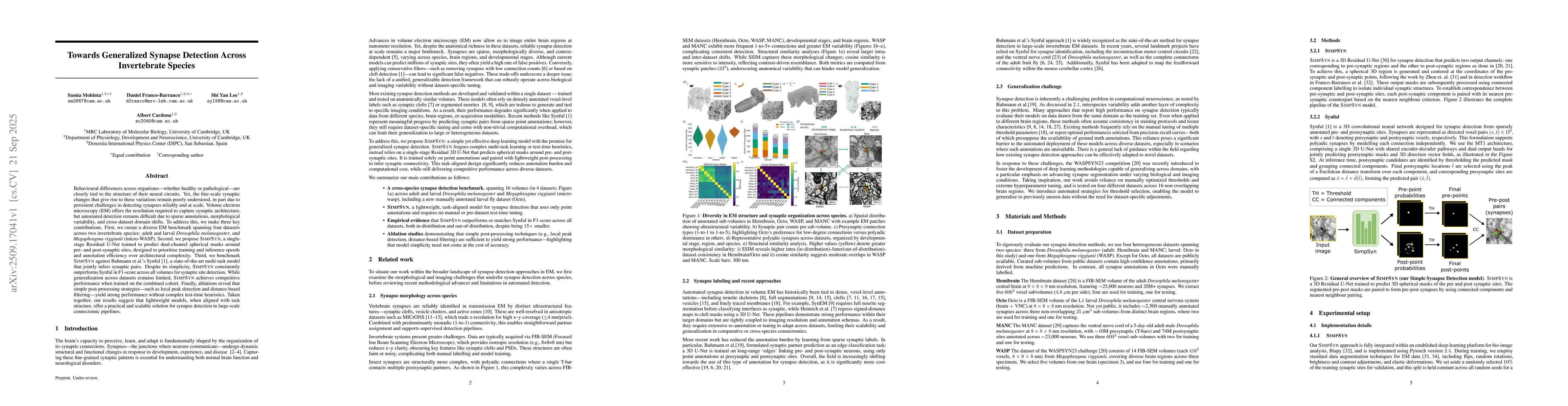 Thumbnail for Towards Generalized Synapse Detection Across Invertebrate Species