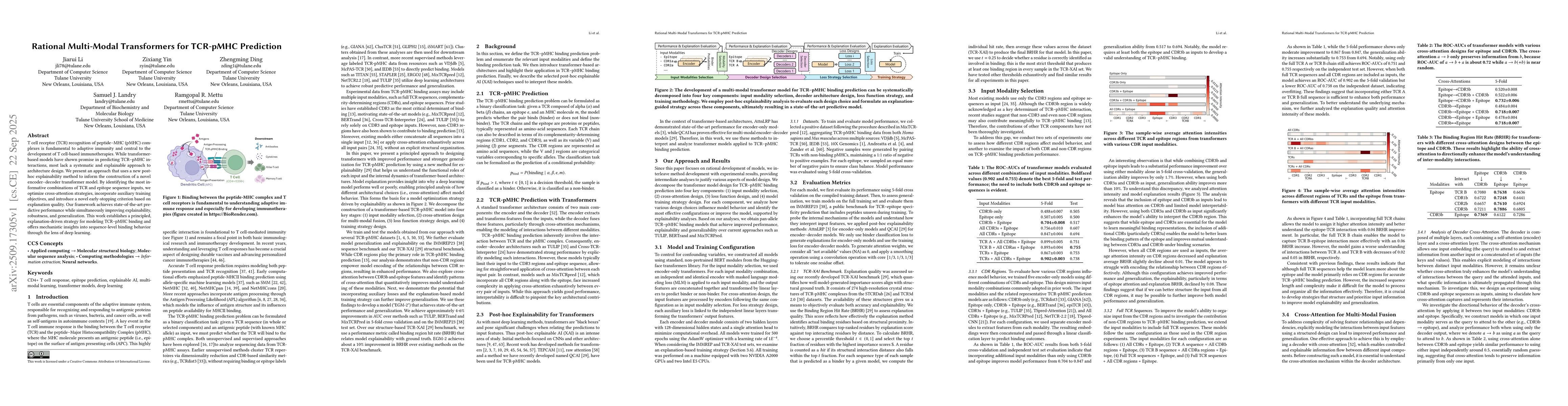 Thumbnail for Rational Multi-Modal Transformers for TCR-pMHC Prediction