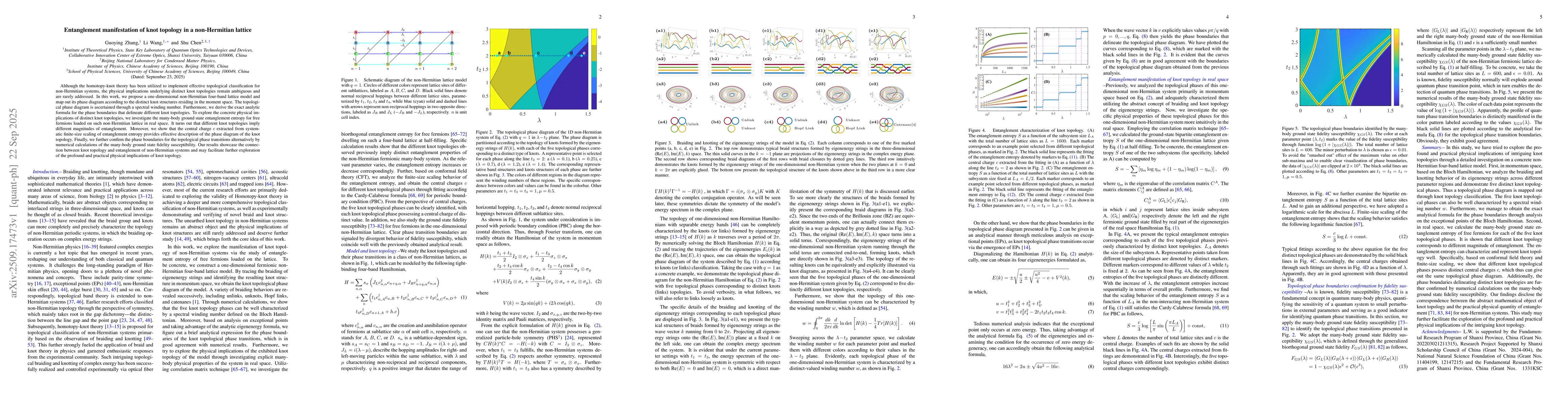 Thumbnail for Entanglement manifestation of knot topology in a non-Hermitian lattice